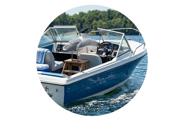 boat-insurance